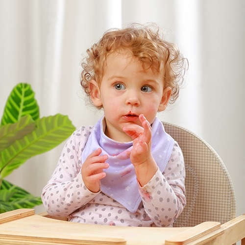 Detský podbradník/šatka 2D sada BabyOno Koník, lila/smotana