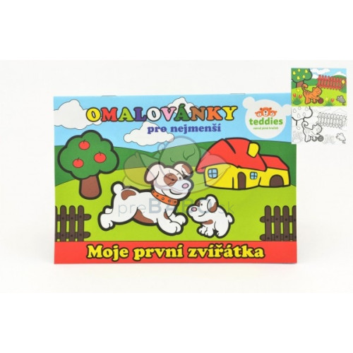 Teddies Omalovánky Moje první zvířátka 21x14,5cm MPZ